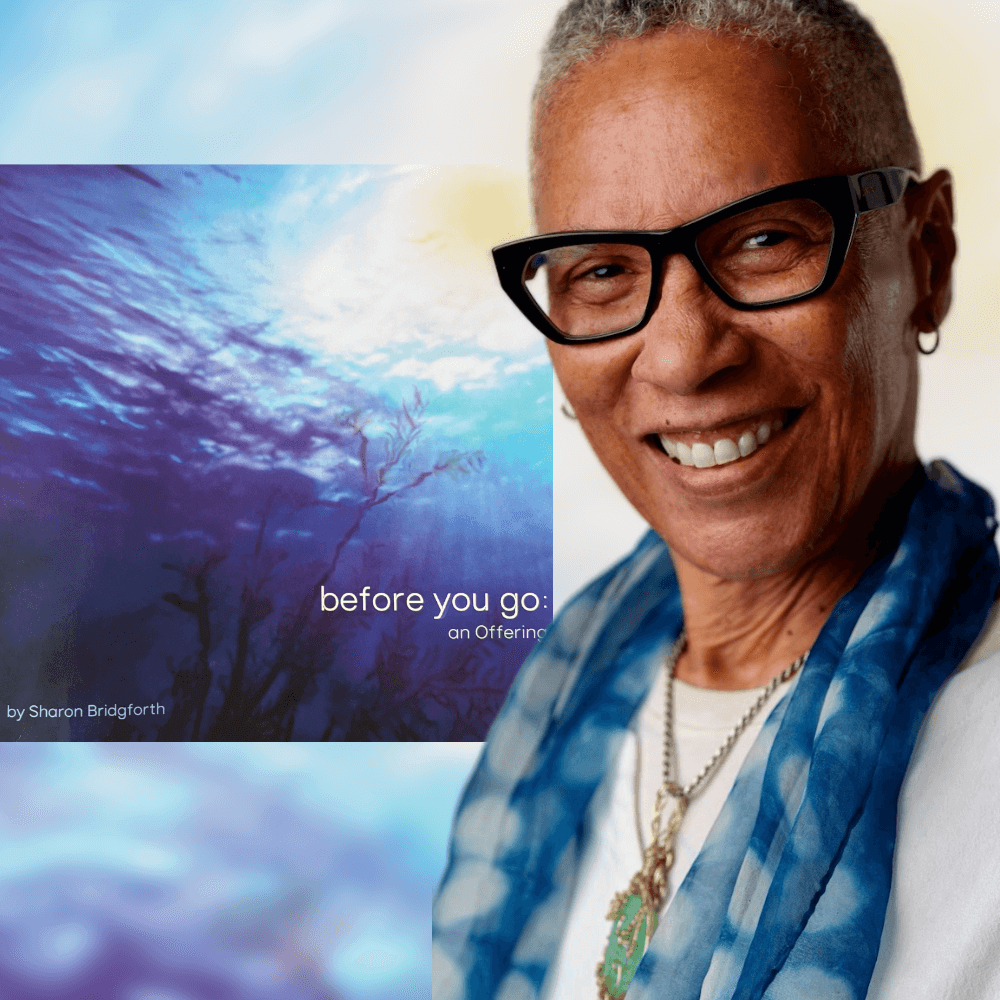 Headshot of the artist next to a cover of her book, which features a photograph of a tree and the sun reflected in rippling water.