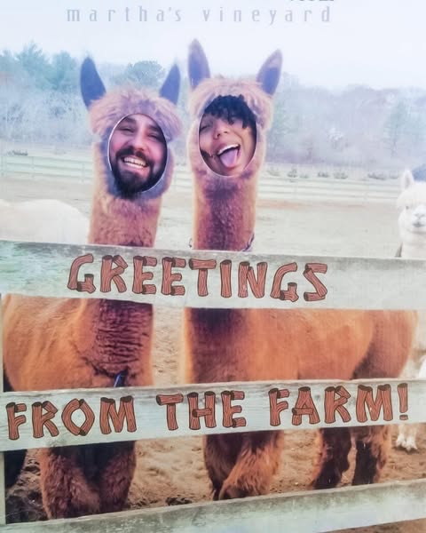 A whimsical photo board at a farm in Martha's Vineyard features two cutouts for people to poke their heads through, decorated as brown llamas. On the left, a bearded Alec De León smiles through the cutout, and on the right, a person smiles with their tongue sticking out through the other cutout. A wooden fence in the foreground is painted with the words "GREETINGS FROM THE FARM!"