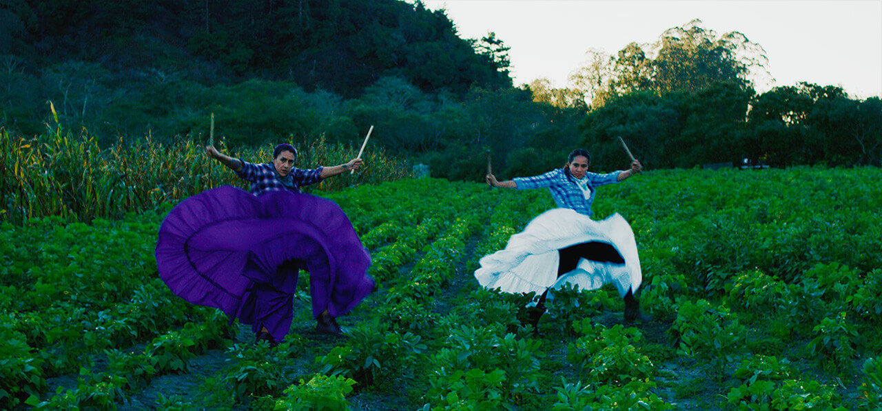 Two Latina women dancing in a farm in Half Moon Bay California, arms extended out to the sides holding sticks, torsos facing front and legs wide twisted one over the other. Both are medium-skinned, wearing blue plaid shirts, and folkloric skirts that billow outwards following their movement. One skirt is purple, the other white.