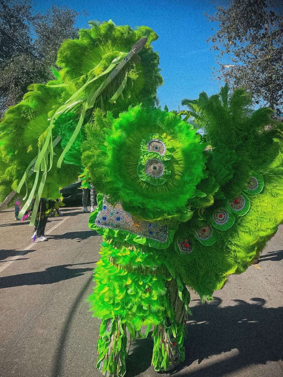 Back view of a Masking Indian dancing on a sunny, crowded street with his arms wide-open in a green-feathered multicolor rhinestoned suit. His wing is spread on the right side of the photo under his feathered arm and his war spear is on the left side of the photo in his hand. He wears a round feathered sun hat on his head with a multi-green feathered war skirt around his waist. He faces away from the camera.