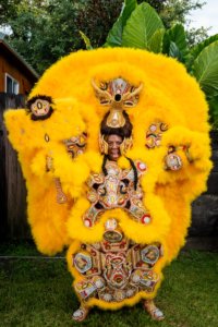 A medium-dark skinned woman in a towering, yolk-yellow Black Masking Indian Suit. The suit is made from yellow feathers. It covers her entire body except for her face and rises about two feet above her head. Beaded pieces are inset into and project from the torso, legs, feet, and hands of the suit, as well as above her head, showing intricate geometric patterns in gold, red, silver, and yellow.