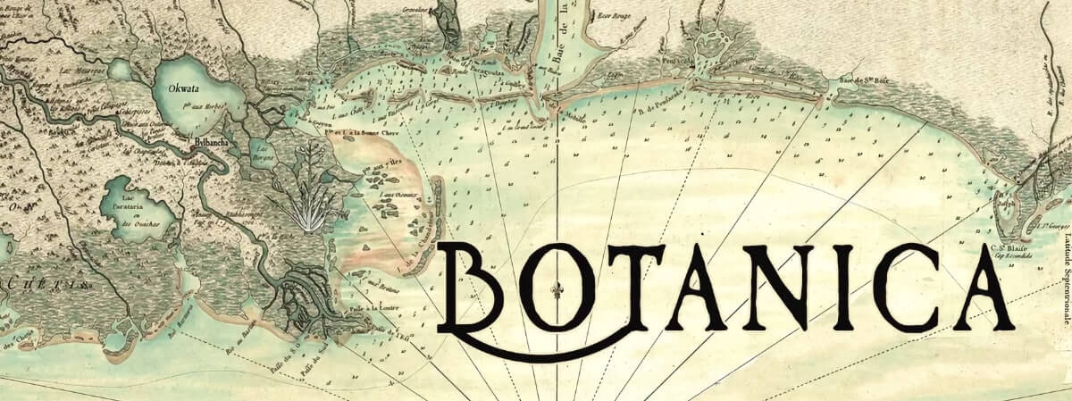 Image of a vintage, hand-drawn map of the coast of Louisiana and Mississippi, with the word "Botanica" across the lower right.