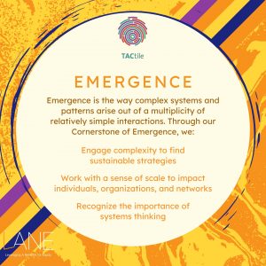 Emergence is the way complex systems and patterns arise out of a multiplicity of relatively simple interactions. Through our Cornerstone of Emergence, we: * Engage complexity to find sustainable strategies * Work with a sense of scale to impact individuals, organizations, and networks * Recognize the importance of systems thinking