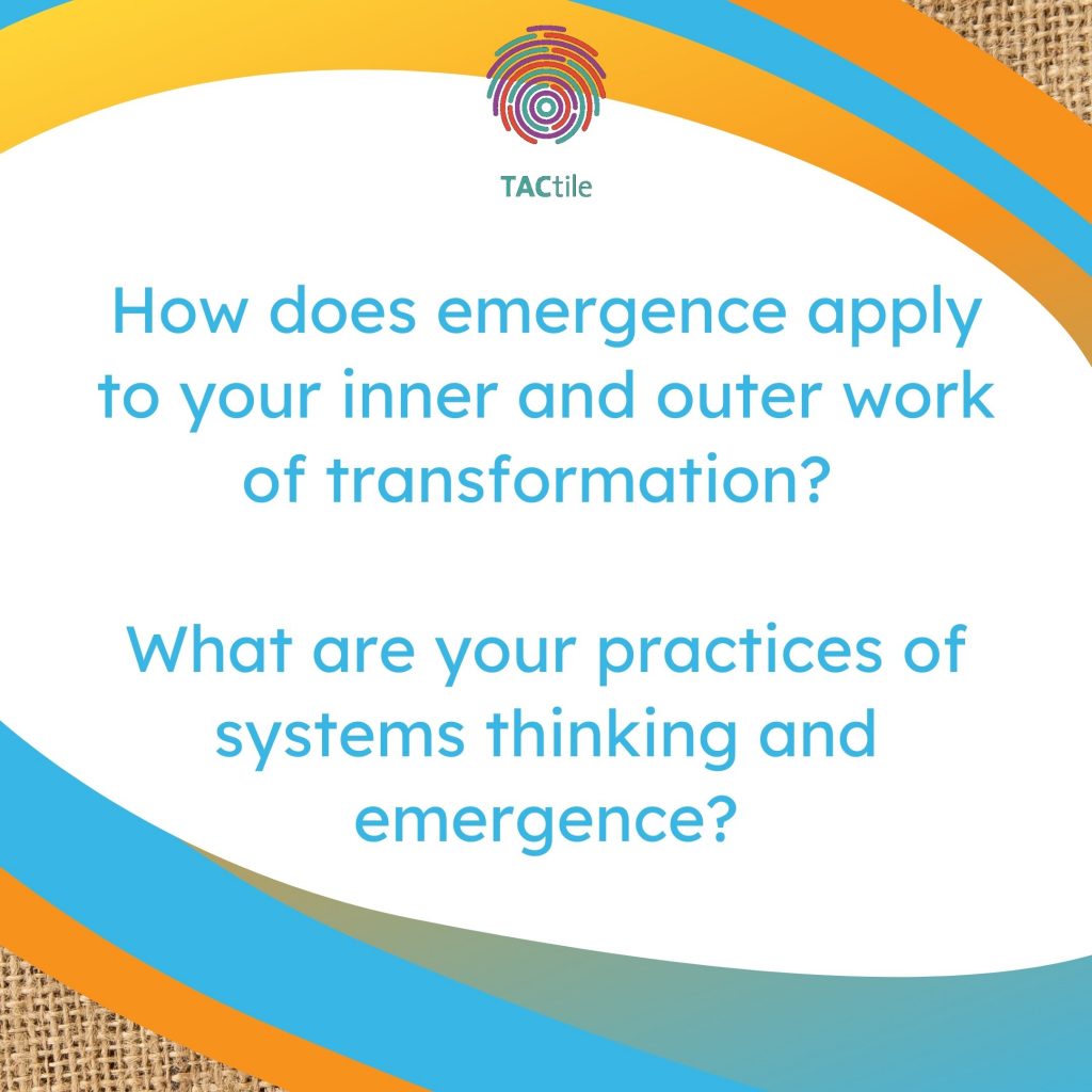 How does emergence apply to your inner and outer work of transformation? What are your practices of systems thinking and emergence?