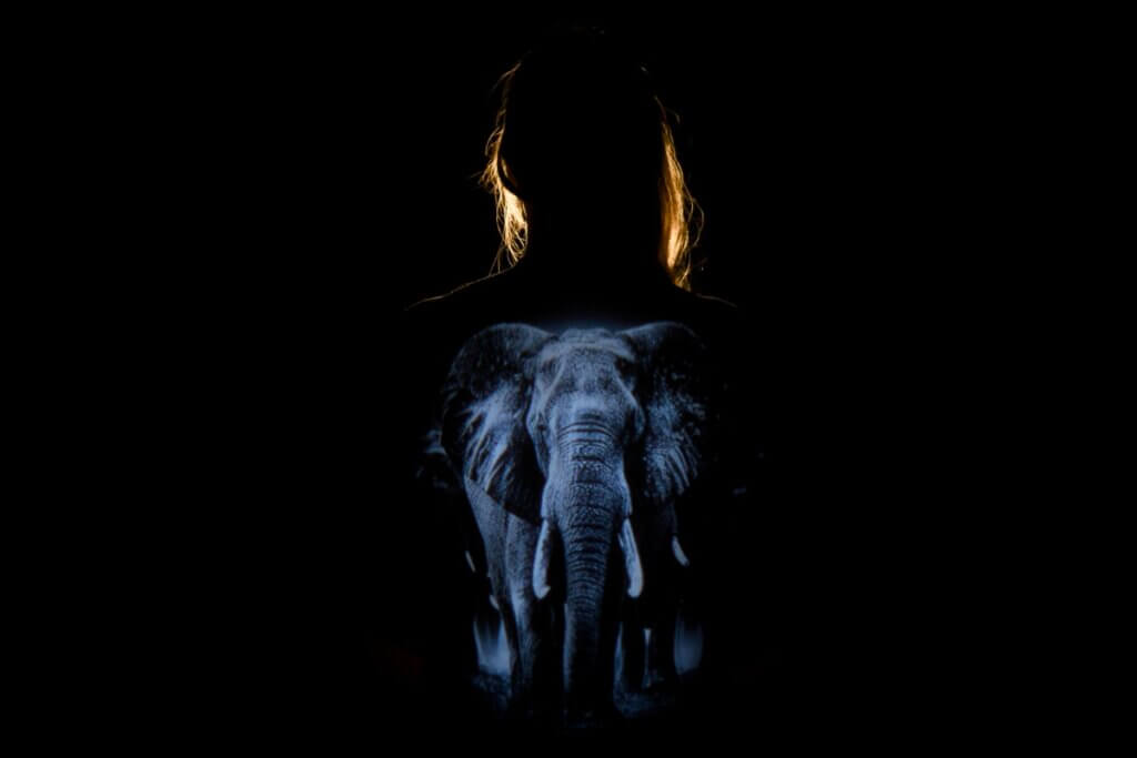 A medium-skinned person with long hair is seen from behind, partially silhouetted against a black background. A black-and-white image of an elephant, facing forward with its ears spread and trunk centered, is projected onto their bare back. The person’s hair catches a soft golden light from behind, creating a subtle halo effect. The surrounding space is entirely dark, drawing full attention to the glowing projection and the figure’s outline.
