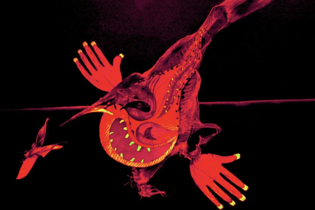 The image consists of a drawing of Yup’iaq mask, from Messenger Dances. The drawing is sewn into a dried fish carcass. Greedy hands with toothed finger tips protrude from the mask body. The entire spine has teeth and the mouth is huge. This mask represents the hunger of war.