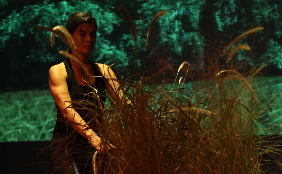 A performer on stage moves through a large bundle of tall dried grasses and seed heads, hands reaching into the stalks. A projection of dense green foliage fills the backdrop, creating a layered contrast between the warm brown grasses and the cool, lush green behind them.